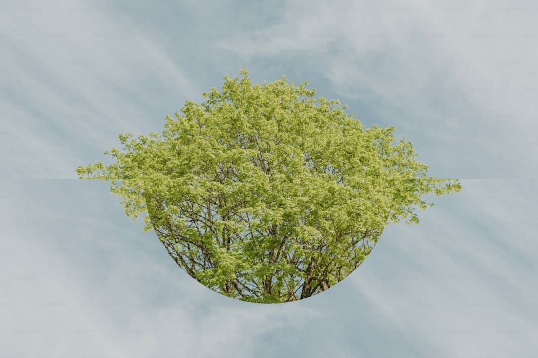 社保卡能在恣意区域补换吗?补换后需求从头激活吗?